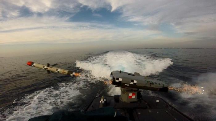 Rafael Completes First-Ever Missile Firing from its "Protector" USV