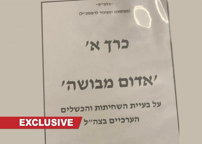 “Red with Shame”: top IDF officer submits Chief of Staff strong-worded report on corruption and value erosion in the Israeli army