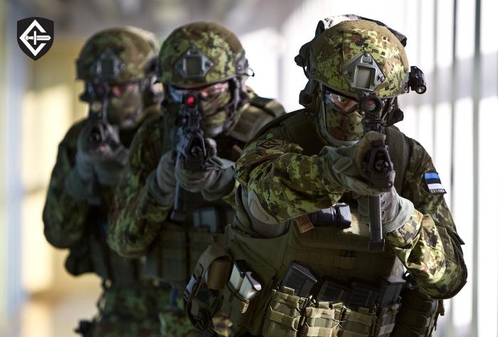Report: Estonian commandos to receive new small arms 
