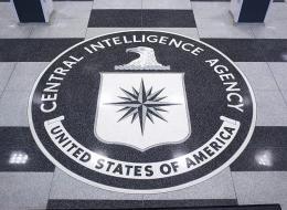 CIA, FBI Launch Manhunt for Leaker of Secret Documents to Wikileaks