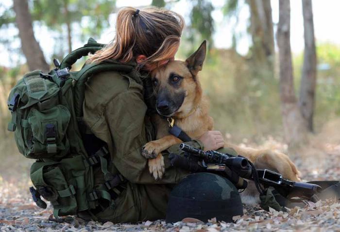 The IDF’s Attack Dogs