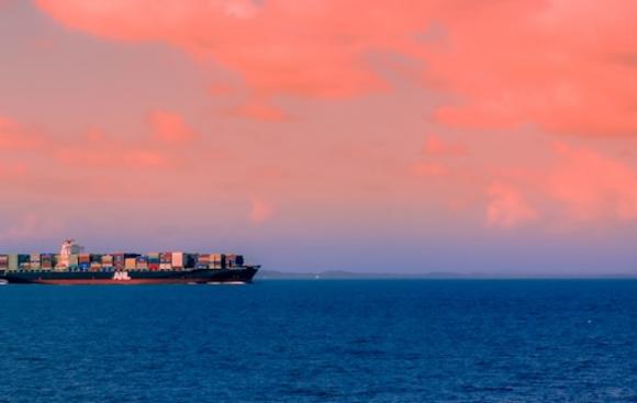 החות'ים: נתקוף אניות הקשורות לישראל שיפליגו באוקיאנוס ההודי 